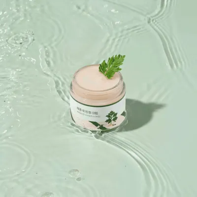 Round Lab Mugwort Calming Cream – Krem łagodzący redukujący zaczerwienienia – 80ml Round Lab Mugwort Calming Cream – Krem łagodzący redukujący zaczerwienienia – 80ml